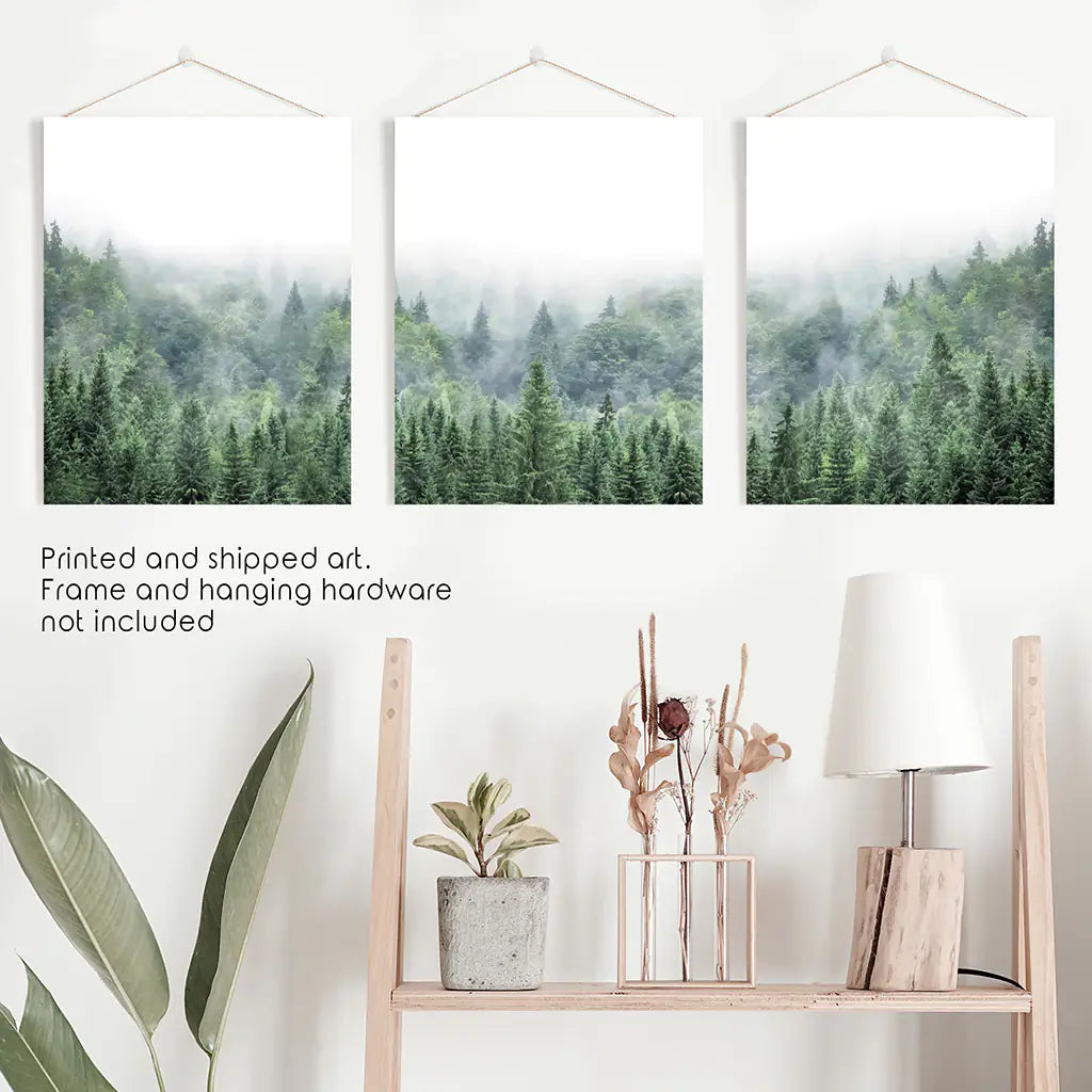 Green Forest in Fog. Triptych Wall Art. Unframed Photo Set
