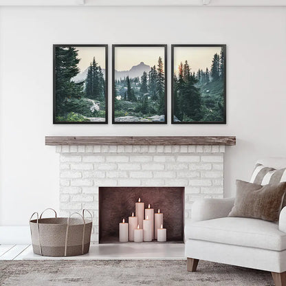 Mountain Pine Tree Forest Wall Decor. Rampart Ridge, Washington, USA. Black Frames