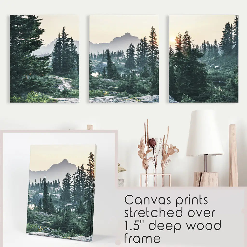 Mountain Pine Tree Forest Wall Decor. Rampart Ridge, Washington, USA. Wrapped Canvas