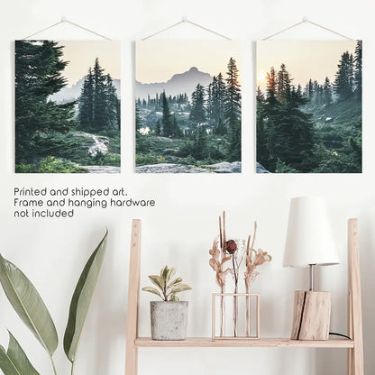 Mountain Pine Tree Forest Wall Decor. Rampart Ridge, Washington, USA. Unframed Art