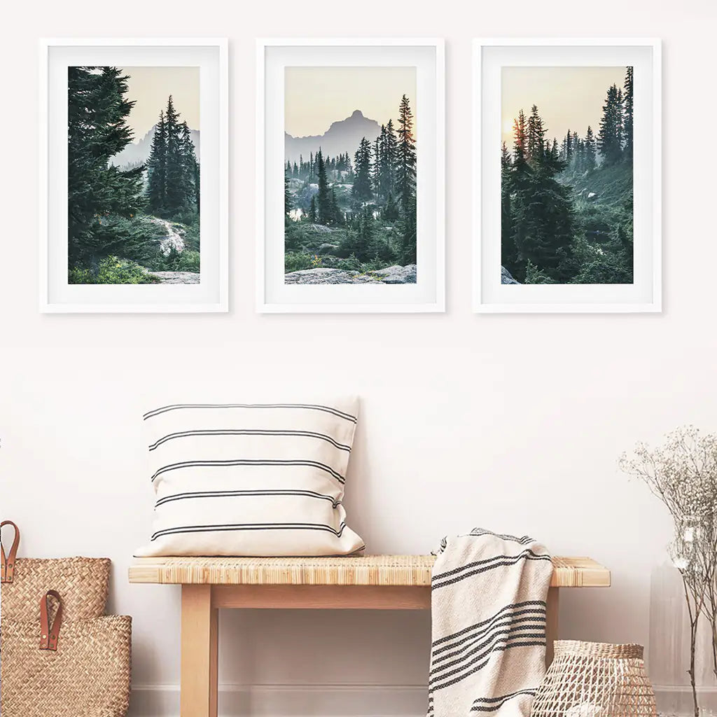 Mountain Pine Tree Forest Wall Decor. Rampart Ridge, Washington, USA. White Frames with Mat