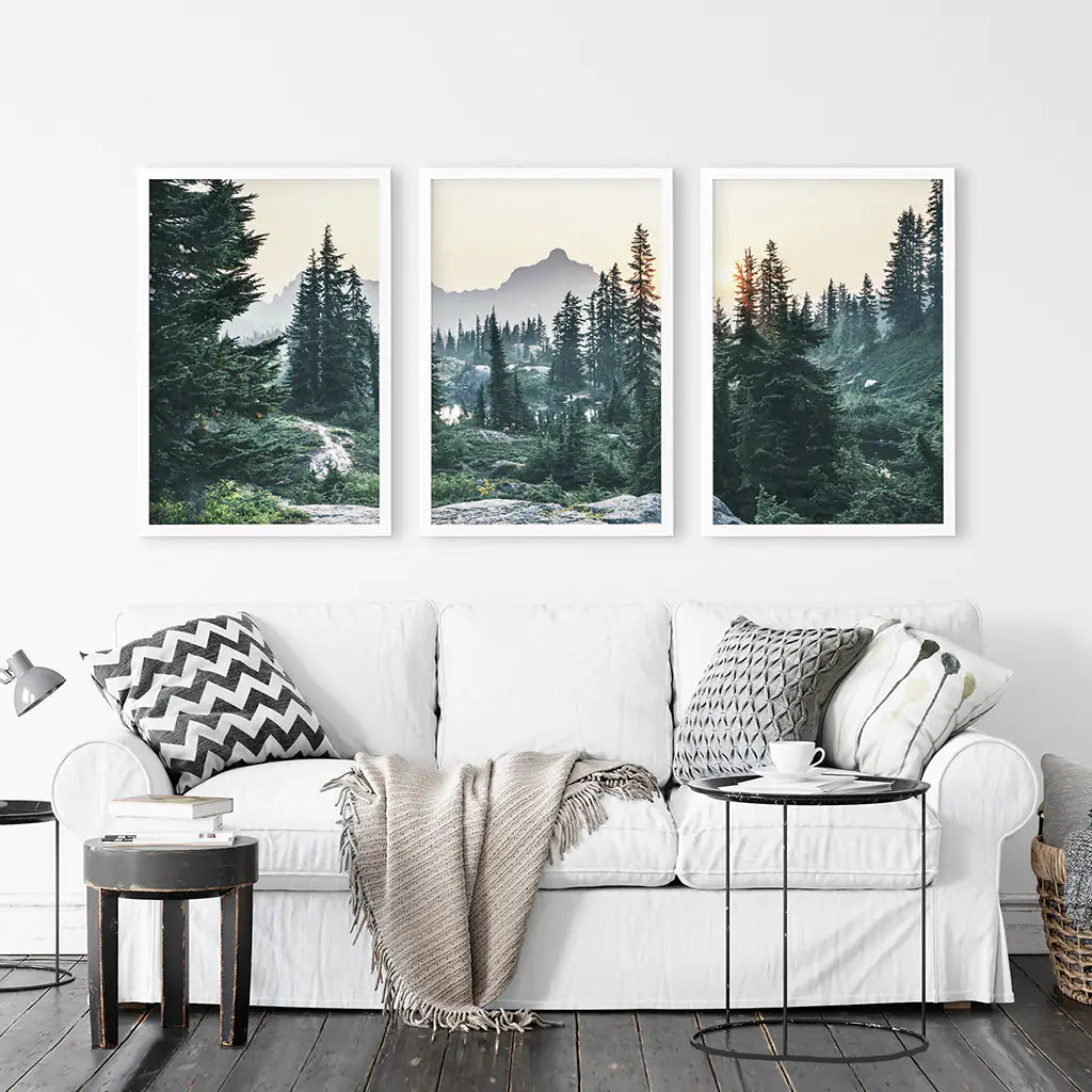 Mountain Pine Tree Forest Wall Decor. Rampart Ridge, Washington, USA. White Frames