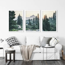 Load image into Gallery viewer, Mountain Pine Tree Forest Wall Decor. Rampart Ridge, Washington, USA. White Frames

