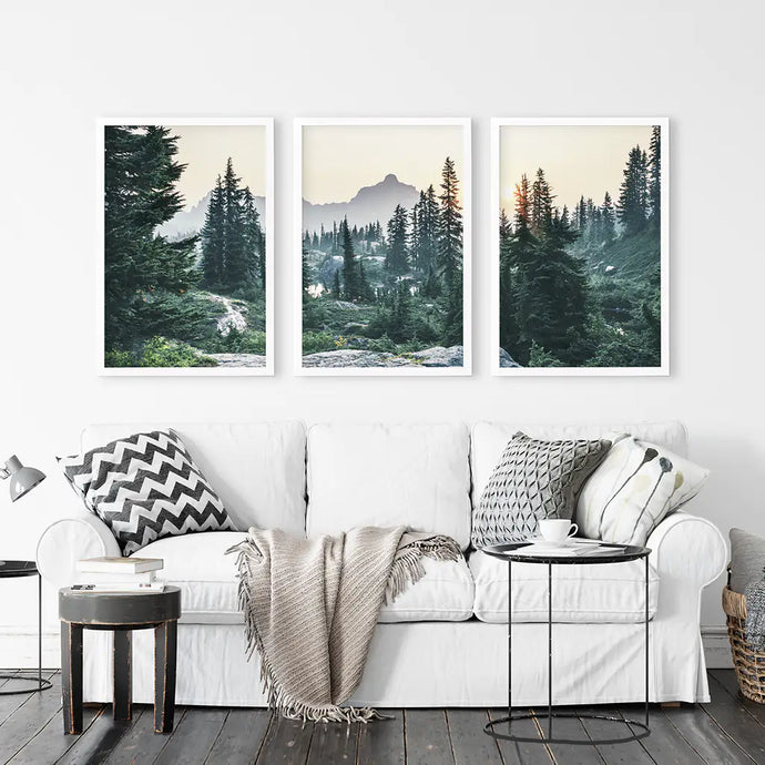 Mountain Pine Tree Forest Wall Decor. Rampart Ridge, Washington, USA. White Frames