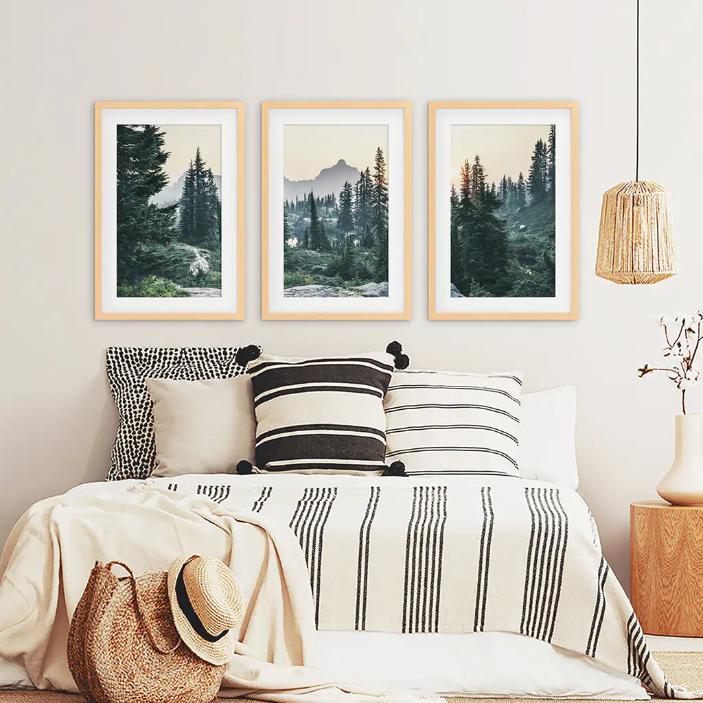 Mountain Pine Tree Forest Wall Decor. Rampart Ridge, Washington, USA. Wood Frames with Mat