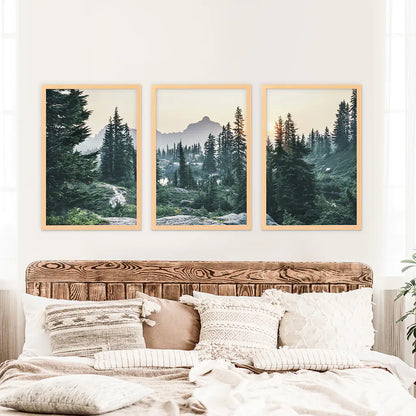 Mountain Pine Tree Forest Wall Decor. Rampart Ridge, Washington, USA. Wood Frames