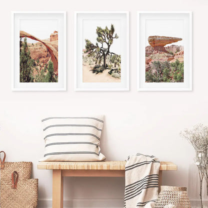 US Desert Wall Art. Arches National Park, Cliff, Joshua Tree