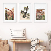 Load image into Gallery viewer, US Desert Wall Art. Arches National Park, Cliff, Joshua Tree
