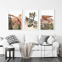 Load image into Gallery viewer, US Desert Wall Art. Arches National Park, Cliff, Joshua Tree
