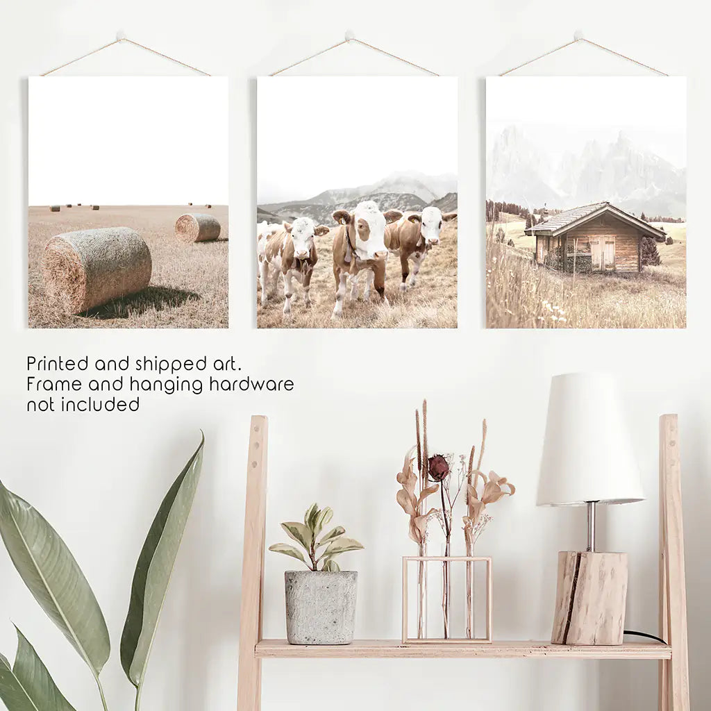 Rustic Fall Set of 3 Posters. Wooden Barn, Cows, Hay Bales