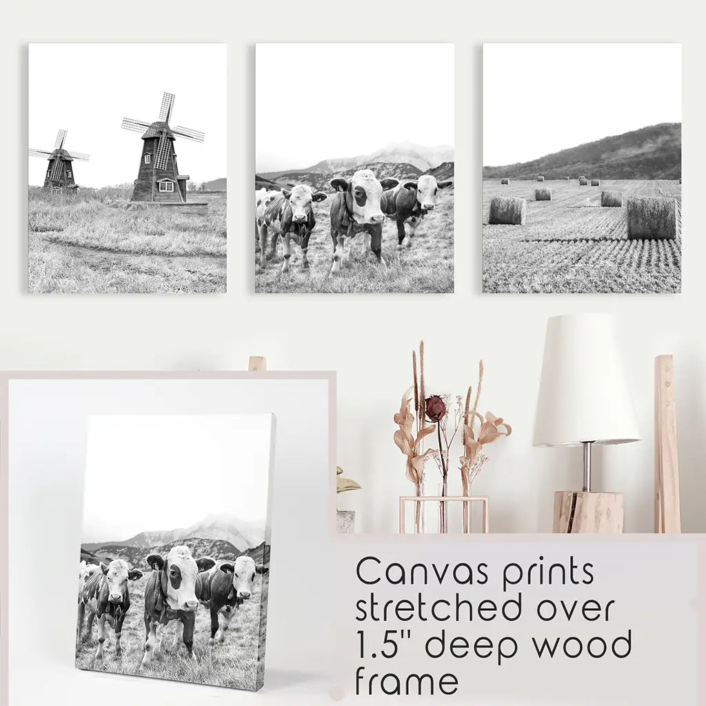 Windmill, 3 Cows, Hay Bales. Wall Art Set - Stretched Canvas