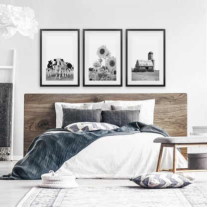 Black and White Farmhouse Wall Art Set. Cows, Sunflowers, Old Barn. Black Frames with Mat