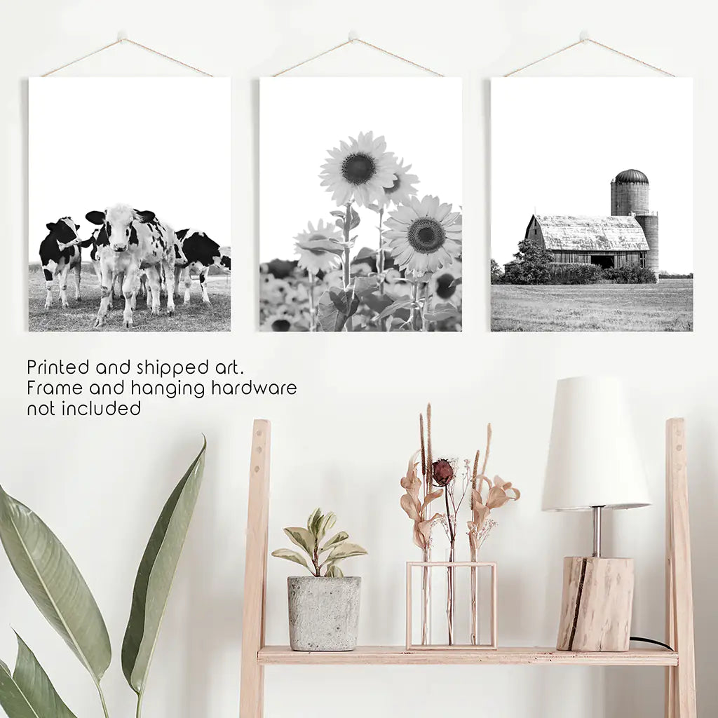 Black and White Farmhouse Wall Art Set. Cows, Sunflowers, Old Barn. Unframed Prints