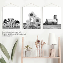 Load image into Gallery viewer, Black and White Farmhouse Wall Art Set. Cows, Sunflowers, Old Barn. Unframed Prints
