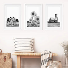 Load image into Gallery viewer, Black and White Farmhouse Wall Art Set. Cows, Sunflowers, Old Barn. White Frames with Mat
