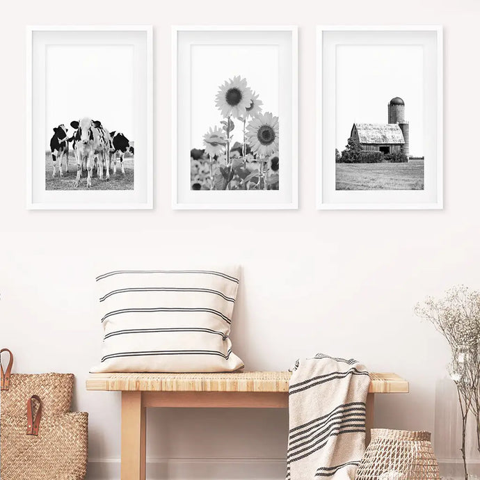 Black and White Farmhouse Wall Art Set. Cows, Sunflowers, Old Barn. White Frames with Mat