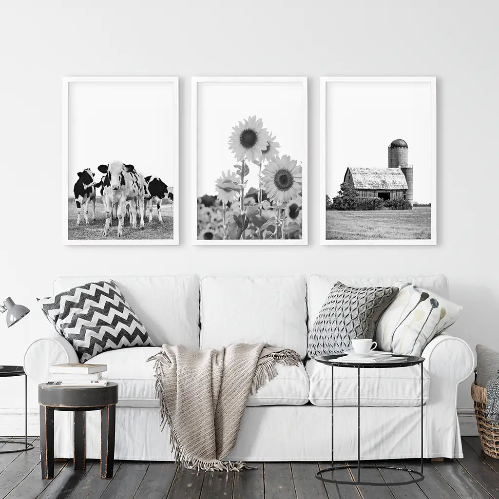 Black and White Farmhouse Wall Art Set. Cows, Sunflowers, Old Barn. White Frames