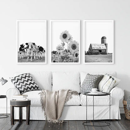 Black and White Farmhouse Wall Art Set. Cows, Sunflowers, Old Barn. White Frames