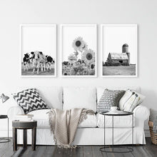 Load image into Gallery viewer, Black and White Farmhouse Wall Art Set. Cows, Sunflowers, Old Barn. White Frames
