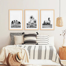 Load image into Gallery viewer, Black and White Farmhouse Wall Art Set. Cows, Sunflowers, Old Barn. Wood Frames with Mat
