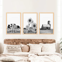 Load image into Gallery viewer, Black and White Farmhouse Wall Art Set. Cows, Sunflowers, Old Barn. Wood Frames
