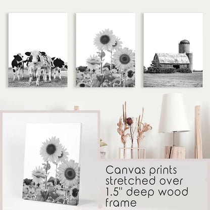 Black and White Farmhouse Wall Art Set. Cows, Sunflowers, Old Barn. Stretched Canvas