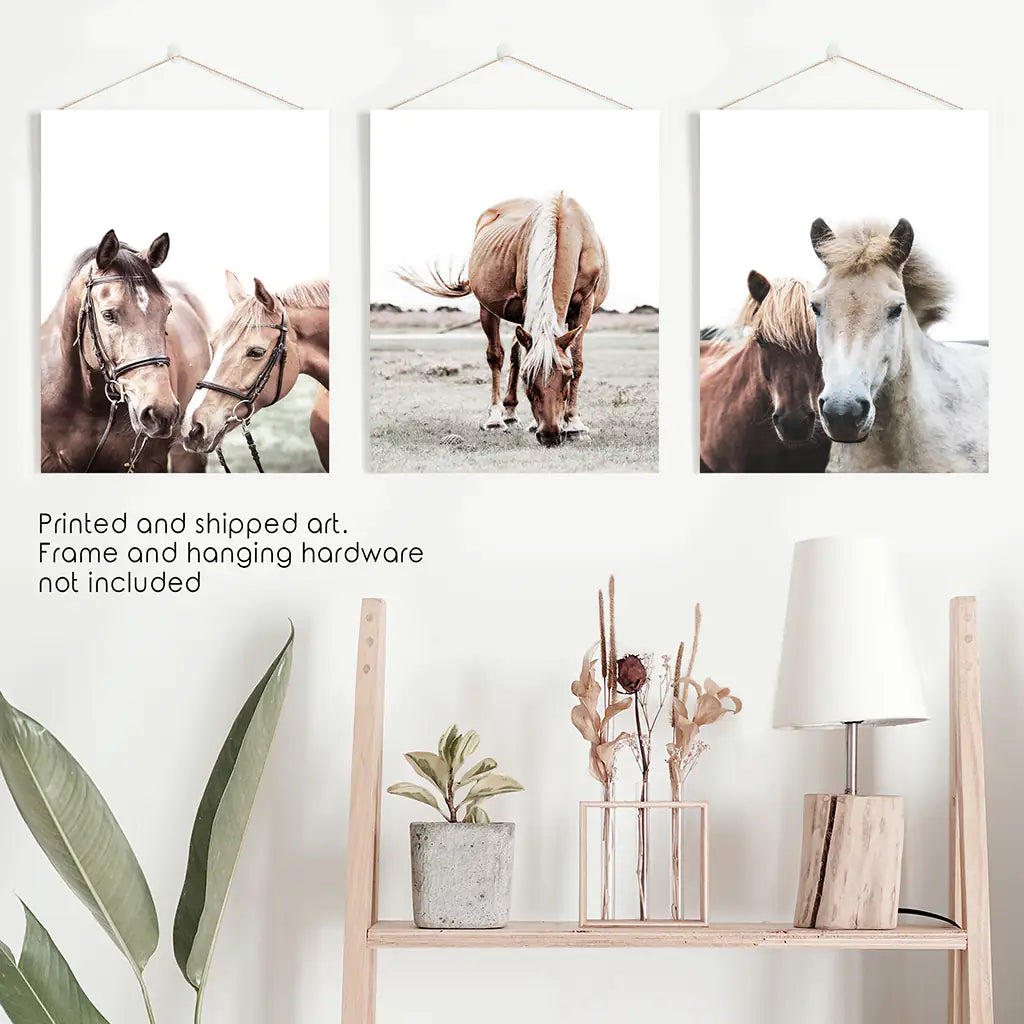 Horses. Modern Farmhouse Print Set of 3 - Unframed Art