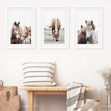 Load image into Gallery viewer, Horses. Modern Farmhouse Print Set of 3- White Frames with Mat
