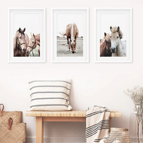 Horses. Modern Farmhouse Print Set of 3- White Frames with Mat