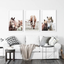 Load image into Gallery viewer, Horses. Modern Farmhouse Print Set of 3 - White Frames
