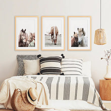 Load image into Gallery viewer, Horses. Modern Farmhouse Print Set of 3 - Wood Frames with Mat
