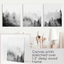 Load image into Gallery viewer, Forest Black White Set of 3 Prints - Stretched Canvas
