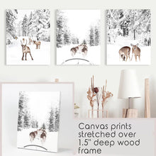 Load image into Gallery viewer, Woodland Winter Photo Set of 3. Fawn, Dog Sledding. Canvas Prints
