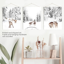 Load image into Gallery viewer, Woodland Winter Photo Set of 3. Fawn, Dog Sledding. Unframed Prints
