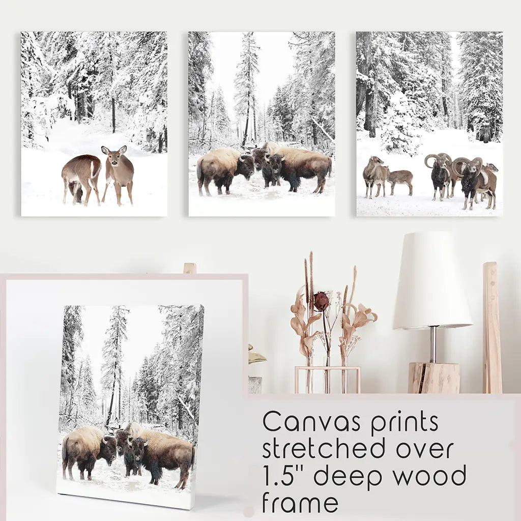 Winter Animals Wall Art Set of 3. Buffalo, Deer, Goat. Canvas Prints