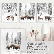 Load image into Gallery viewer, Winter Animals Wall Art Set of 3. Buffalo, Deer, Goat. Canvas Prints
