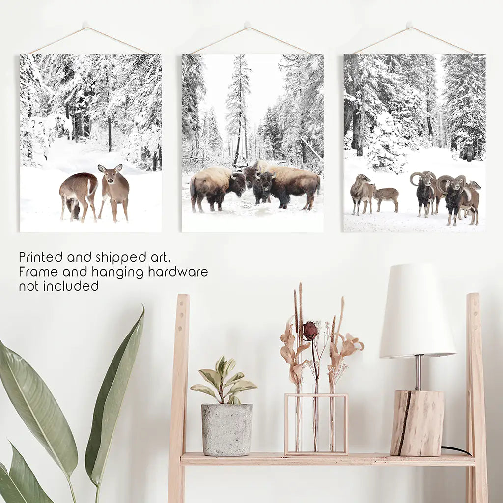 Winter Animals Wall Art Set of 3. Buffalo, Deer, Goat. Unframed Prints