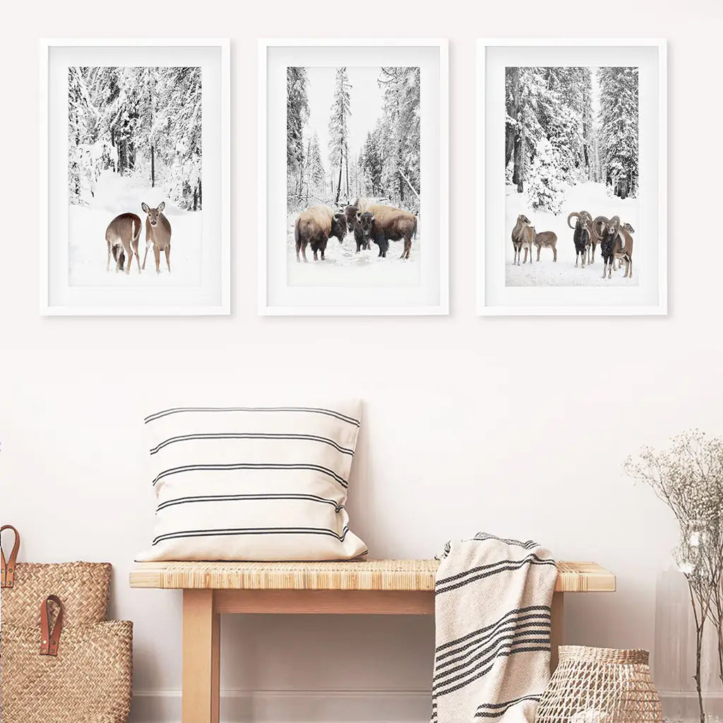 Winter Animals Wall Art Set of 3. Buffalo, Deer, Goat. White Frames with Mat