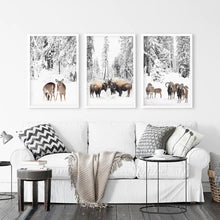 Load image into Gallery viewer, Winter Animals Wall Art Set of 3. Buffalo, Deer, Goat. White Frames
