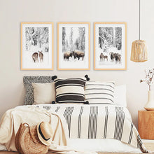 Load image into Gallery viewer, Winter Animals Wall Art Set of 3. Buffalo, Deer, Goat. Wood Frames with Mat
